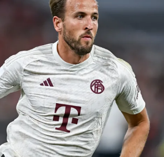 这场胜利不 这场胜利不